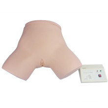 Nursing Care Female Catheterizatrion Traiing Simulator Model